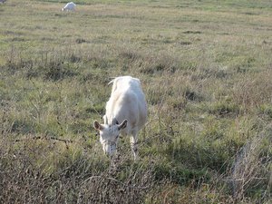 DSC01188_.jpg