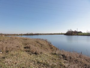 DSC01259_.jpg