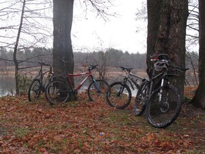 IMG_3653.JPG