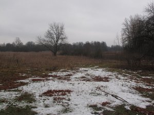 IMG_3656.JPG