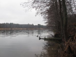 IMG_3657.JPG