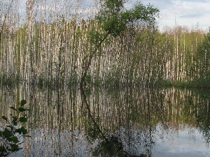 5.jpg (246.89 КБ) 8160 просмотров Кто-нибудь уберите зеркало!