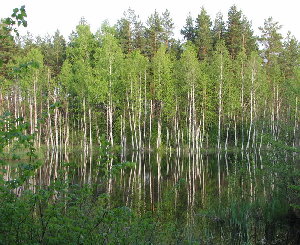 6.jpg (213.17 КБ) 8159 просмотров Просто красиво.