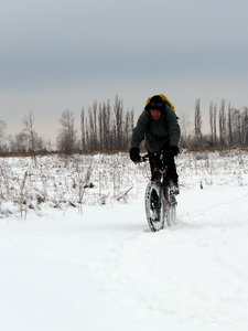 P1180377-2.jpg