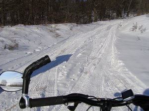 P1010044.jpg