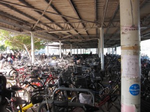 DPP_0989.JPG