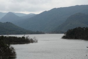 DPP_1005.JPG