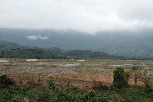 DPP_1006.JPG