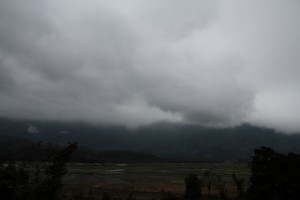 DPP_1007.JPG