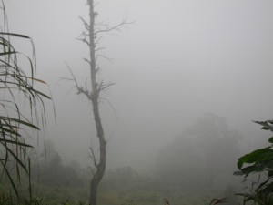 DPP_1008.JPG