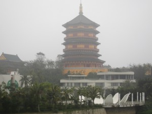 DPP_1011.JPG