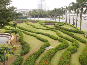 DPP_1019.JPG