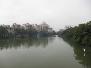 DPP_1020.JPG