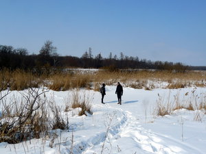 P1180783-1.jpg