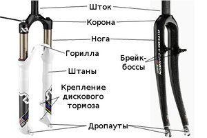 Forks.jpg