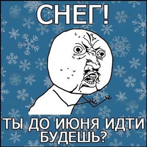 y_f4053414.jpg