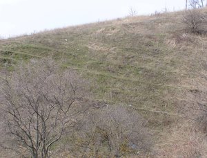 02.jpg