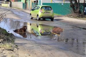 Пес лежит в луже.JPG