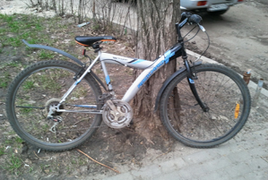 2012-04-17 19.25.11.jpg