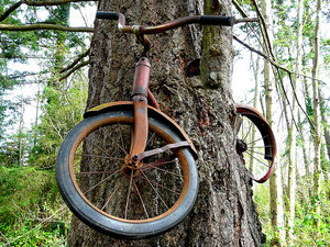 velo_v_dereve.jpg