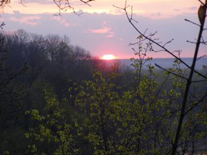 P1010429.JPG