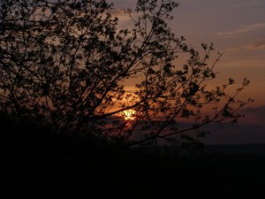 P1010480.JPG