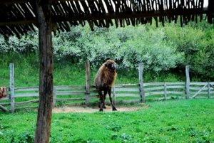 DSC_0741.jpg