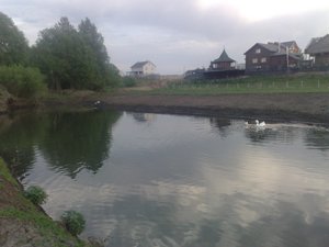 070520123101.jpg