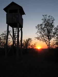 IMG_4702.JPG