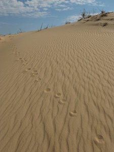 IMG_4720.JPG