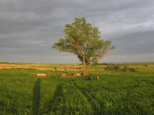 Колодец на х. Рогов