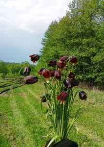 13052012409.jpg