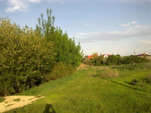 08052012027.jpg