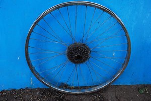DSC_0462.jpg