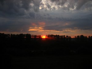 111.jpg