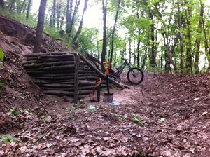 IMG_2323.jpg