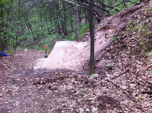 IMG_2325.jpg