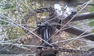IMAG0380.jpg