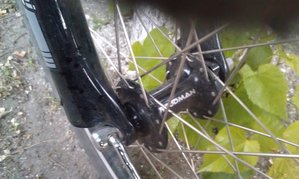 IMAG0383.jpg