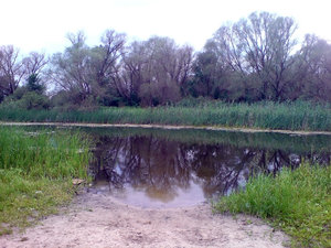 DSC00283.JPG