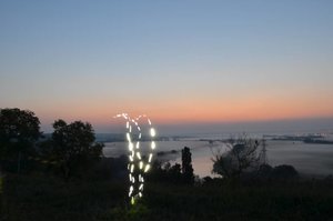 DSC_1880.jpg