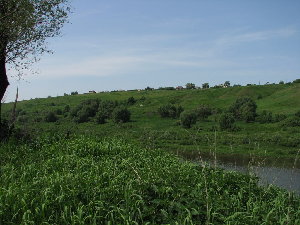 5.jpg (249.7 КБ) 14179 просмотров всюду зелень