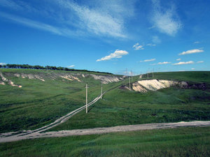 IMG_6590.jpg