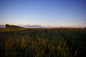 _1G100552.jpg