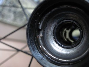 IMG_3659.jpg