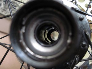 IMG_3662.jpg