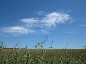 IMG_2001.jpg