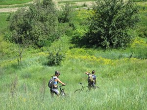 IMG_2020.jpg