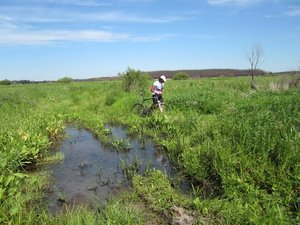 IMG_2047.jpg