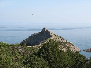 IMG_3378.jpg